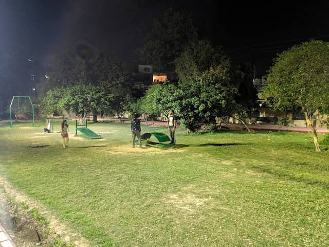 Zebra Park - Image 1