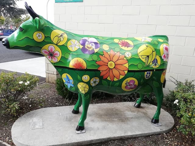 Morrinsville Museum - Image 1