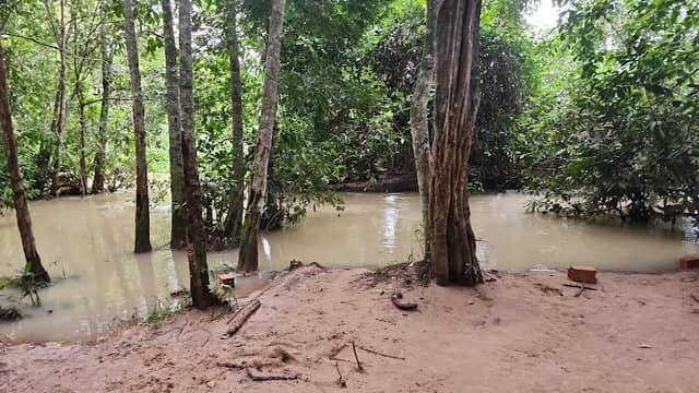Rio preto - Image 2