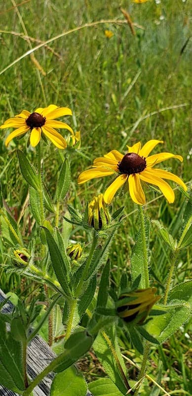 Baker Nature Trail - Image 2