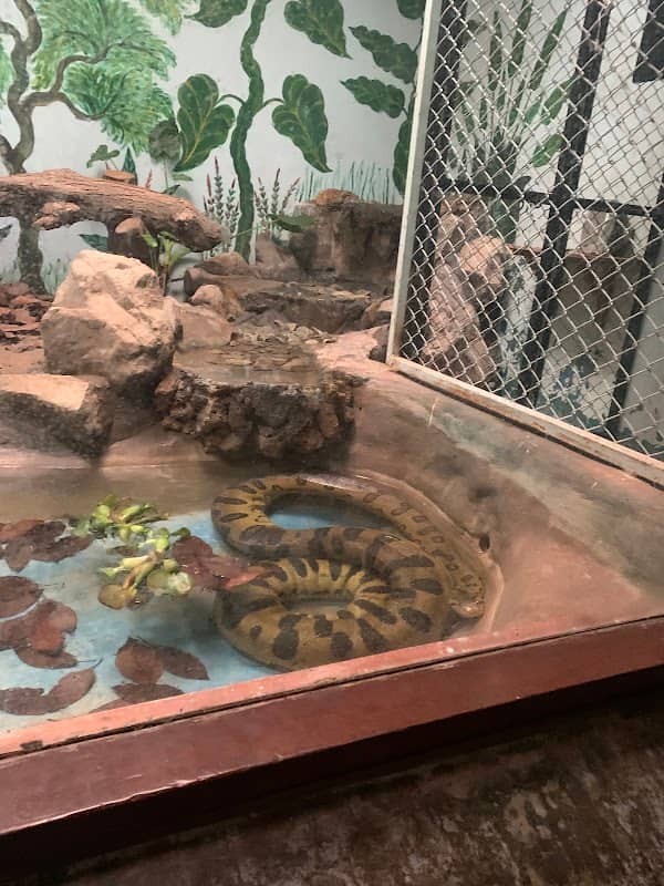 Anaconda - Image 1