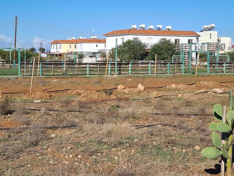 Paralimni Youth Park - Image 2