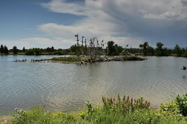 Heritage Lakewood Belmar Park - Image 2
