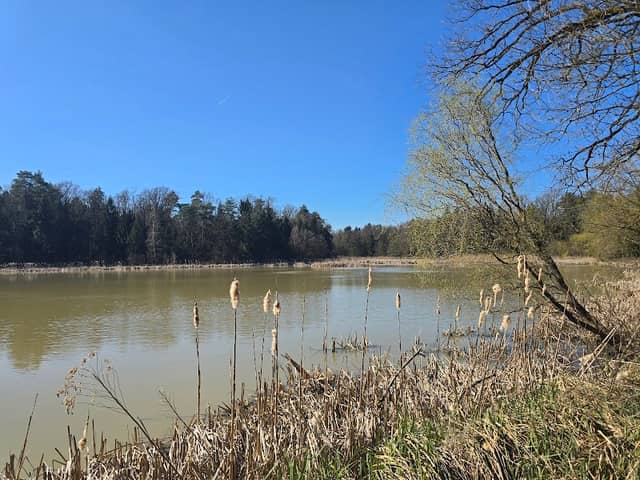 Turnovi ribniki, botanični in zoološki naravni spomenik - Image 1