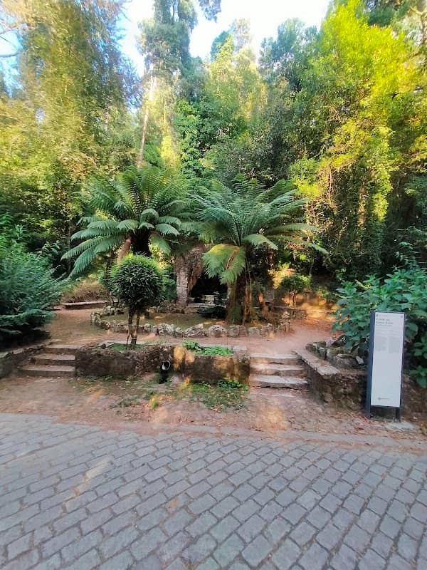 Porta da Rainha - Image 1