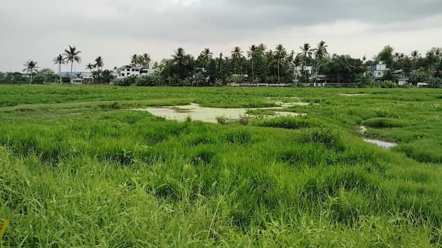 Chavar Padam - Image 1