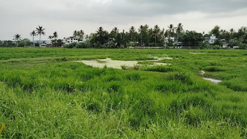 Chavar Padam - Image 1