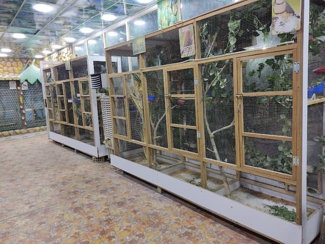 المحمية العراقية للطيور النادرة - Image 1