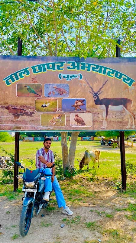 नीमावाली - Image 1