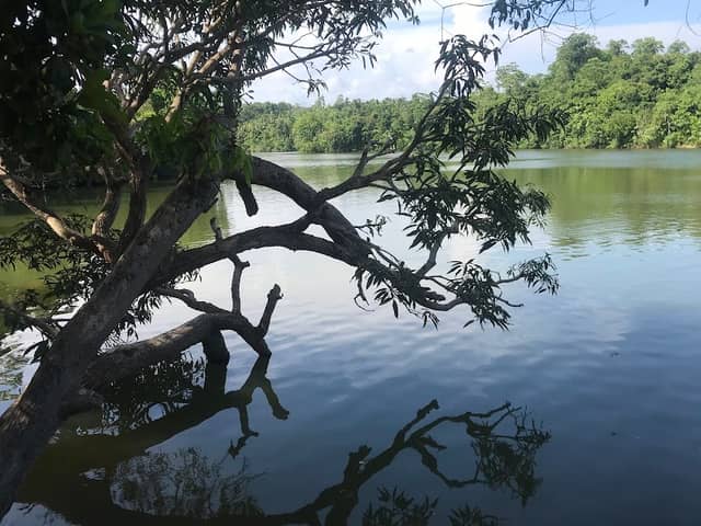 Dandeniya Wewa - Image 1