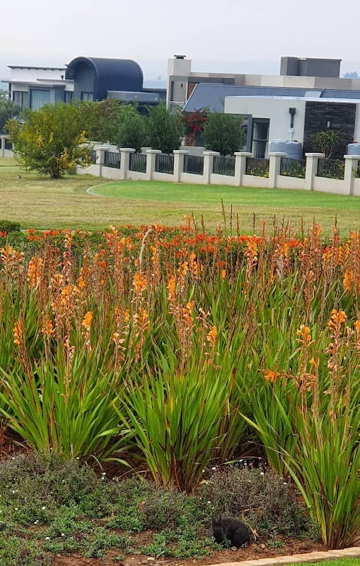 Jungle Park - Image 2