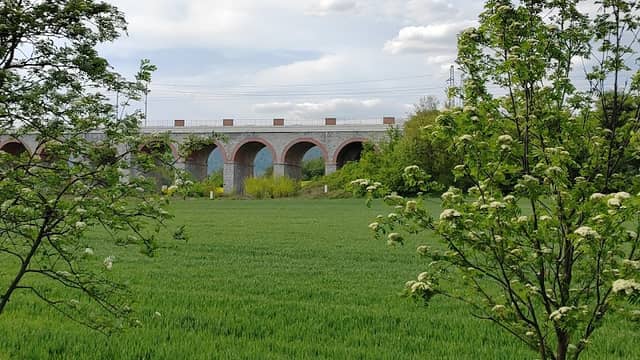 Jezernický viadukt - Image 2