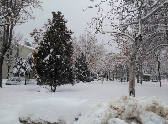 Park - Image 1