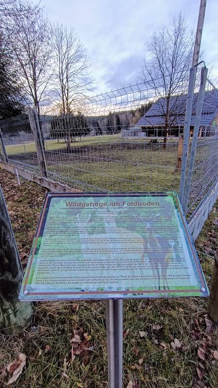 Wildgehege am Feldboden in Rautenkranz - Image 1