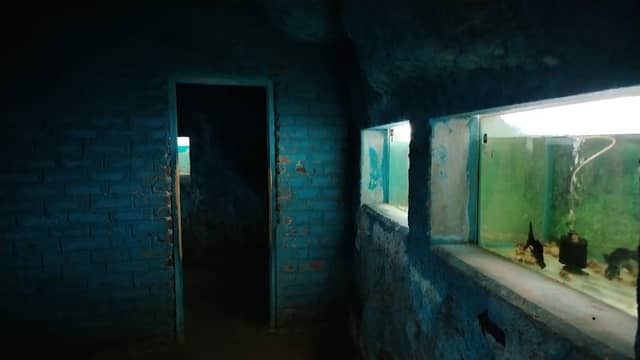 Aquarium/Madunagala Fish Exhibition - Image 1