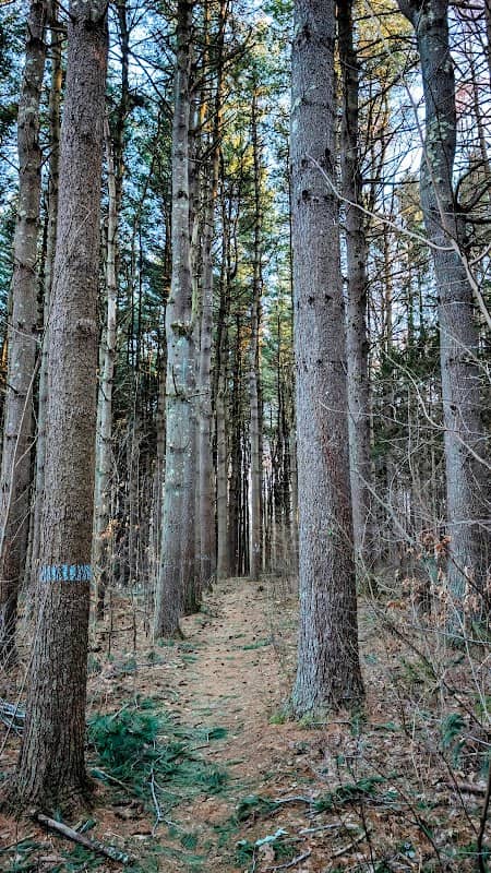 Connecticut Forest & Park Association (CFPA) - Image 1