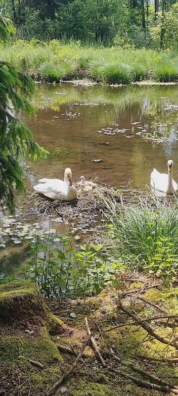 Pfundweiher - Image 1
