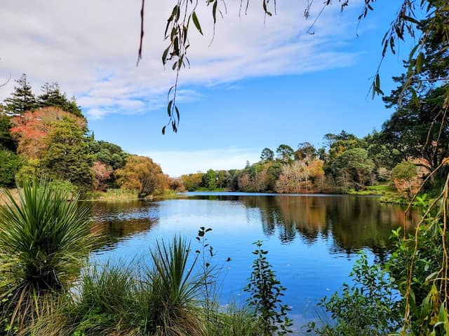 Virginia Lake Reserve - Image 3