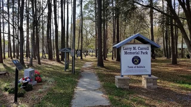 Larry M. Carroll Memorial Park - Image 1