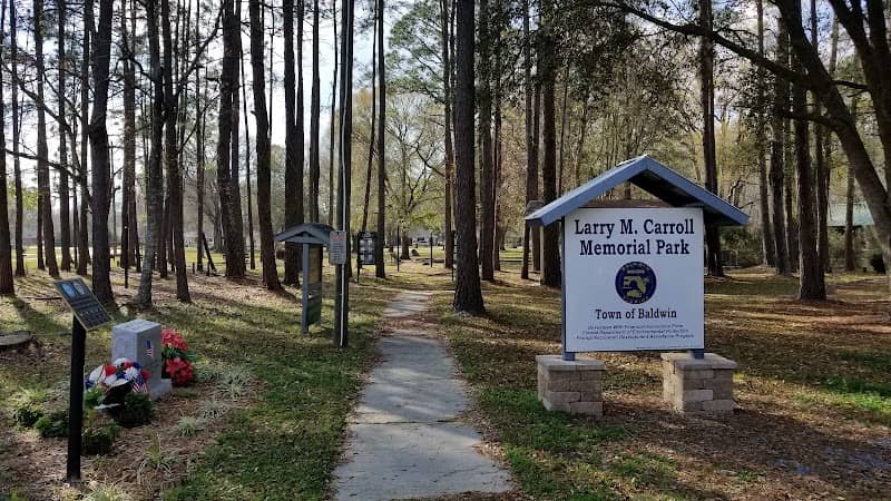 Larry M. Carroll Memorial Park - Image 1