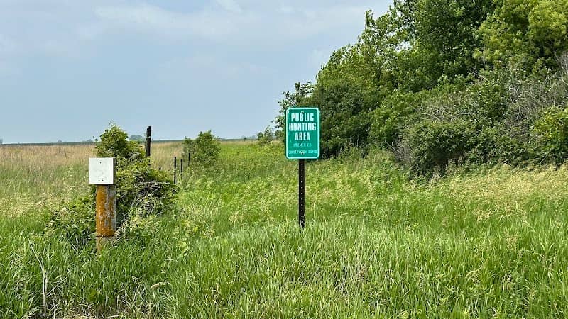 Ringneck Wildlife Area - Image 2