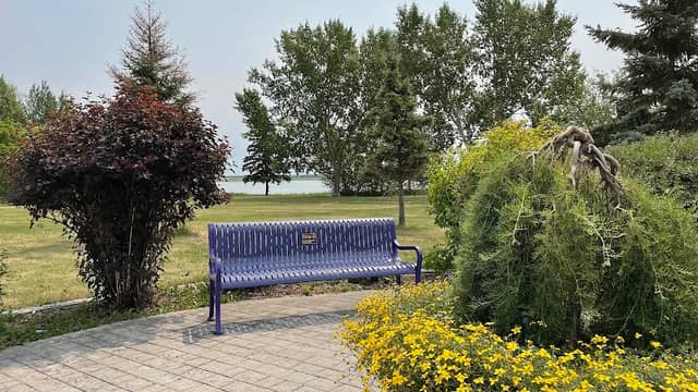 Lions Memorial Park - Image 2