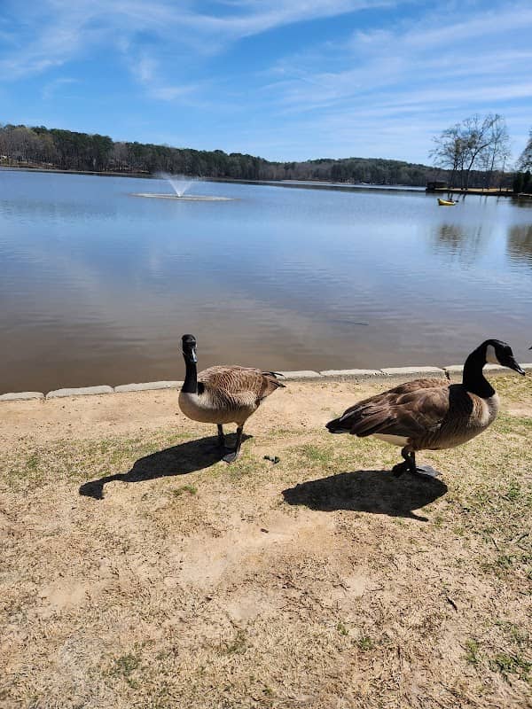 Lake Peachtree - Image 1