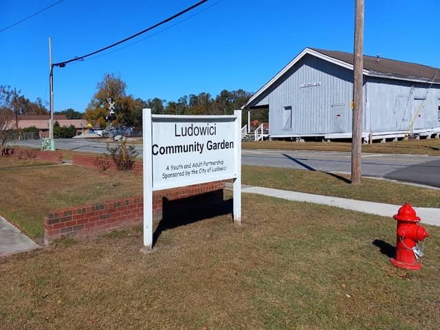 Ludowici Community Garden - Image 1