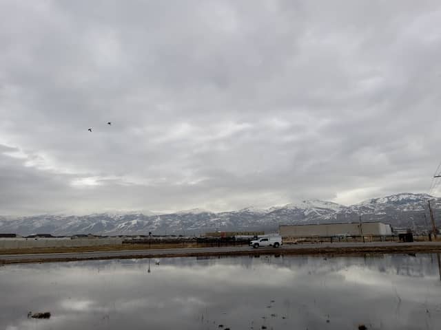 Widders Pond - Image 1