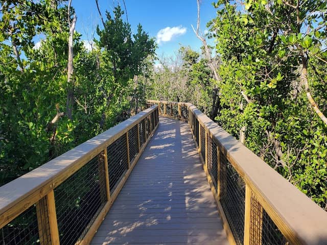 Charlotte Harbor Preserve State Park - Image 1