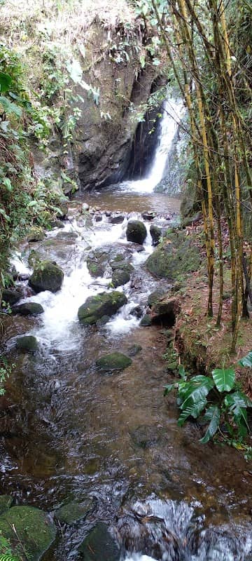 Mindo Eco Tours Reserva Miraflores - Image 1