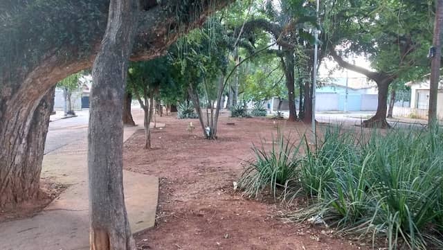 Praça Jaime Lerner - Image 1