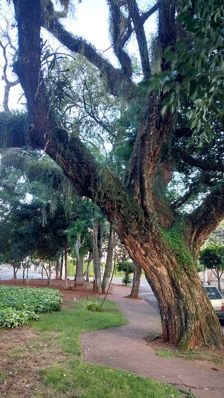 Praça Jaime Lerner - Image 2