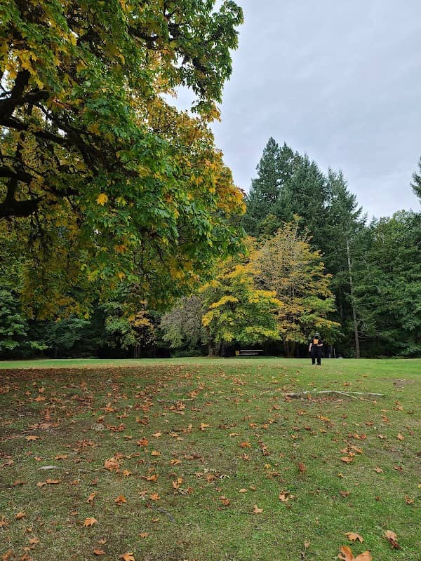 West Shawnigan Lake Provincial Park - Image 2
