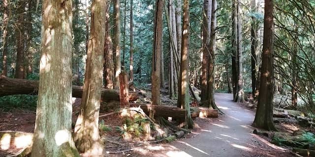 West Shawnigan Lake Provincial Park - Image 3