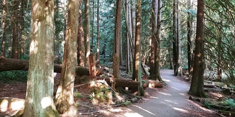 West Shawnigan Lake Provincial Park - Image 3