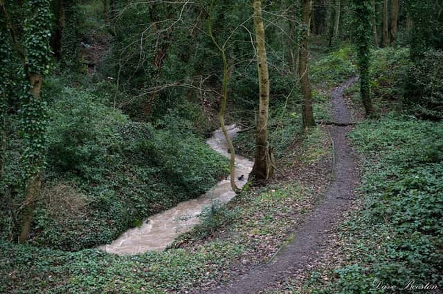 Elmers Clough - Image 2