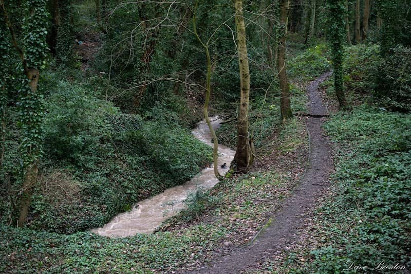 Elmers Clough - Image 2