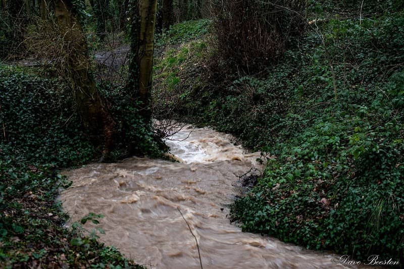 Elmers Clough - Image 1