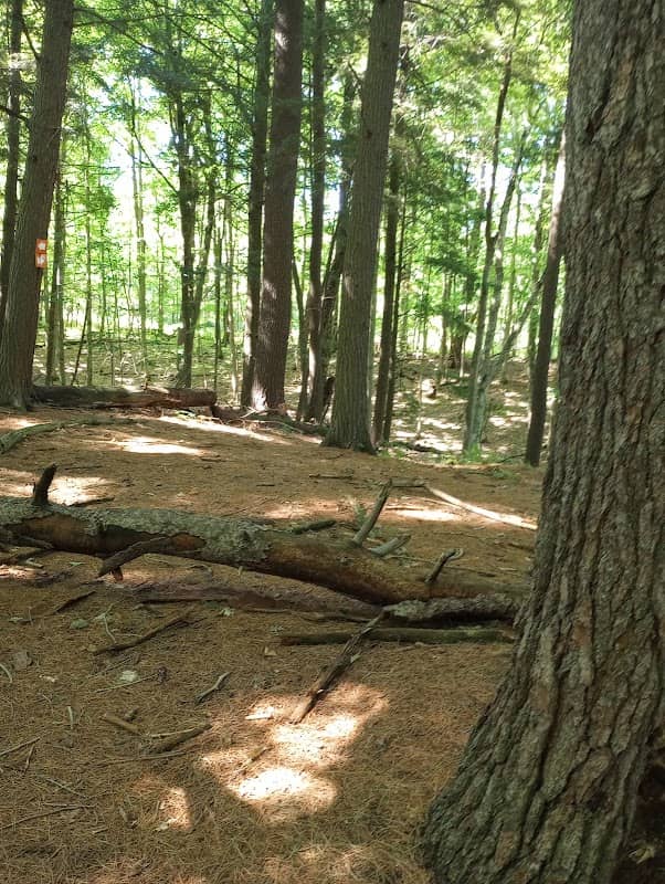 Commando Trail - Image 1