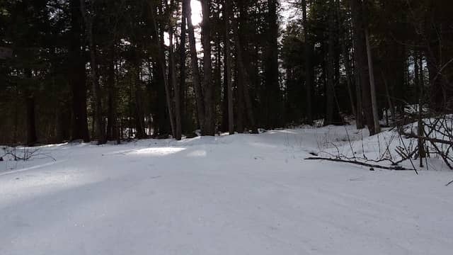 Rampe Forest Conservation Easement - Image 2