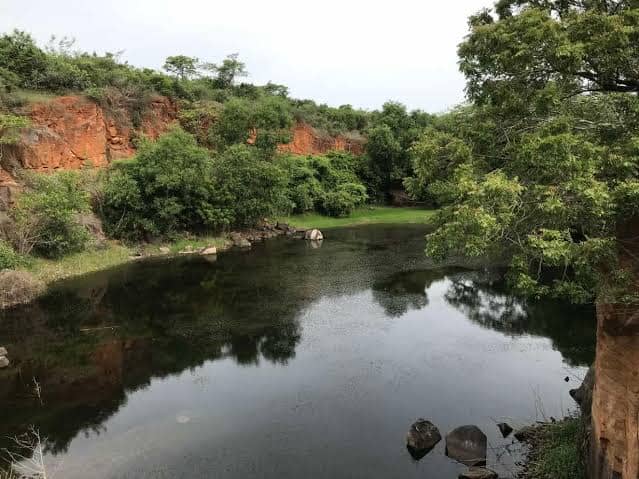 Nanmangalam Reserve Forest - Image 1