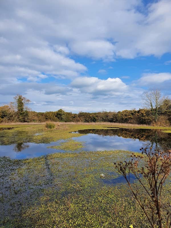 The Clay Pits - Image 1