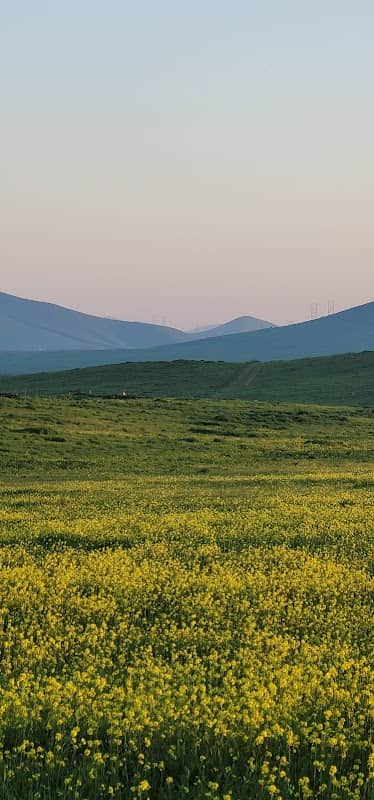 Kincade Cove Wildlife Management Area - Image 2