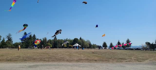 Roy E. Sheldon Park - Image 2
