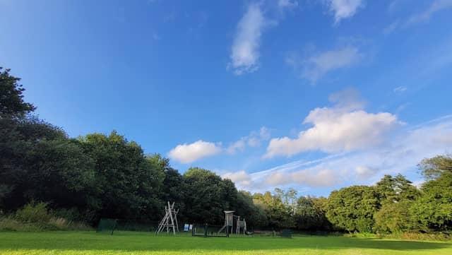 Tadburn Meadows Nature Reserve - Image 2