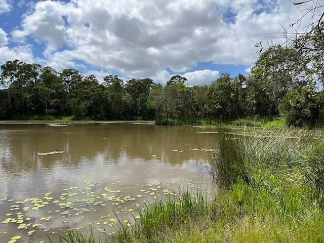 Berrinba Wetlands - Image 1