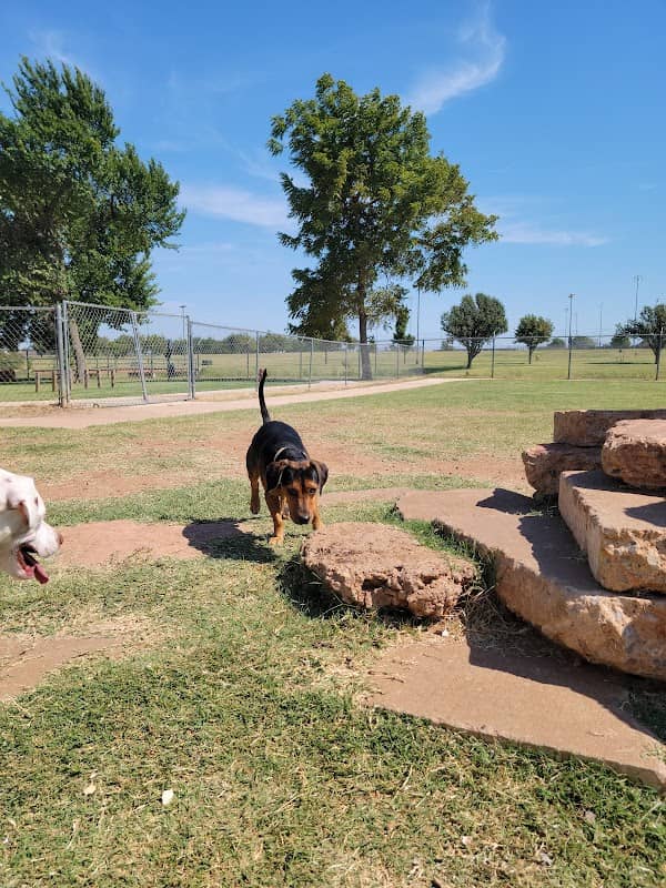 Mustang Dog Park - Image 2