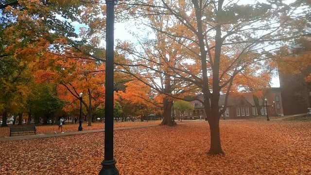 The Quad/Arboretum - Image 1