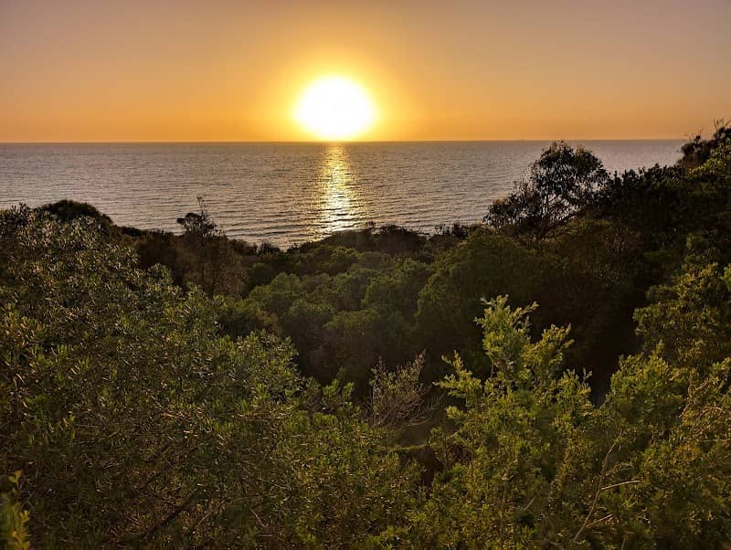 Sandringham sunset lookout - Image 1